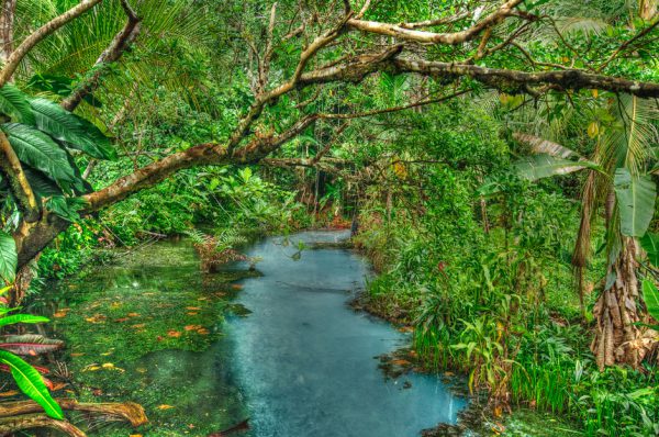 Balek Sulphur Creek