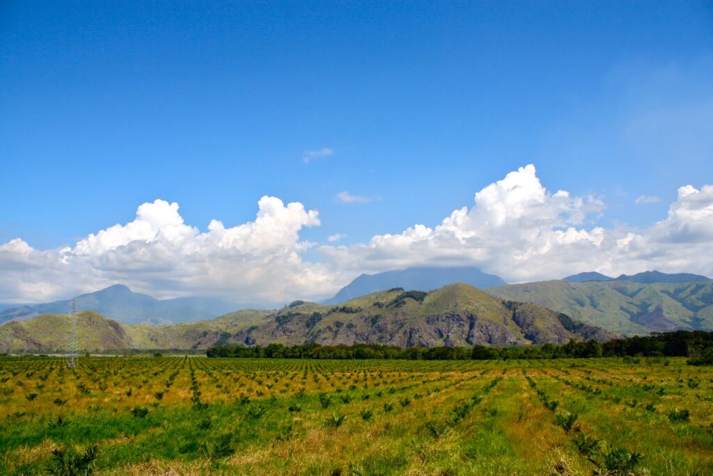 Markham Valley & Ramu Gusap