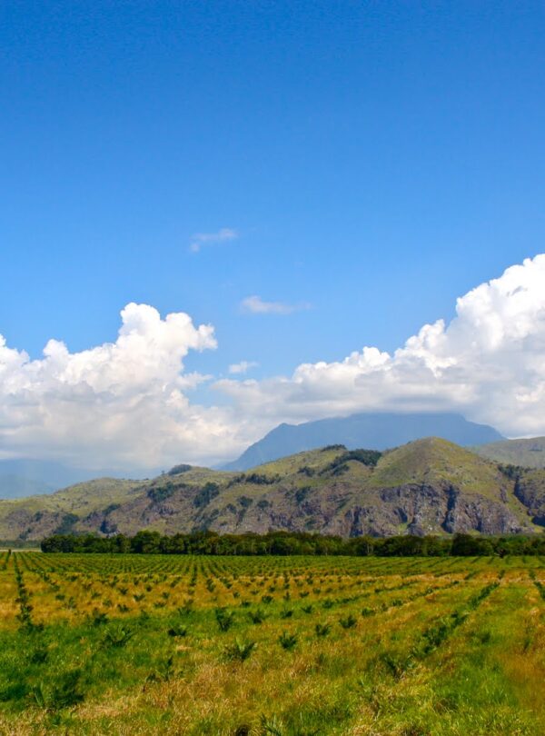 Markham Valley & Ramu Gusap